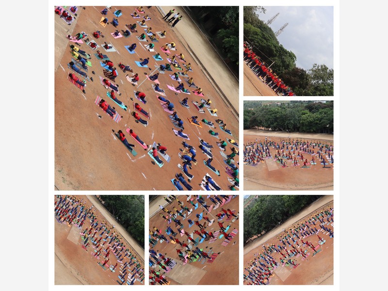 International Yoga And Music Day 2025 
